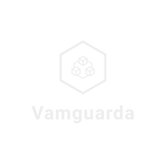 Vamguarda Store
